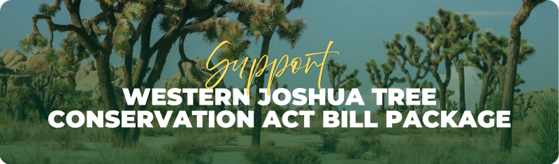 Western Joshua Tree Conservation Project