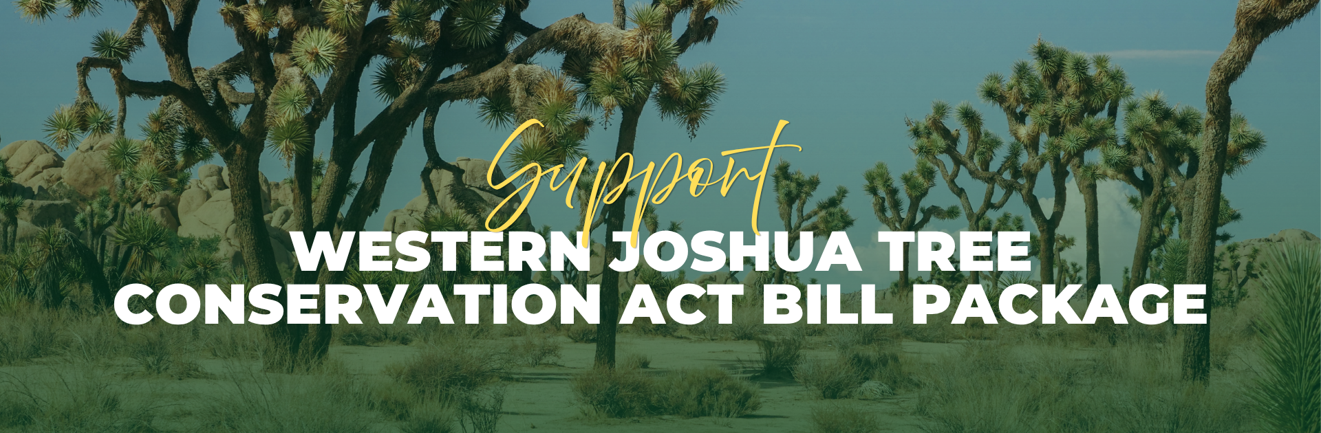 Western Joshua Tree Conservation Act (WJTCA) Bill Package