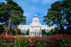 Government